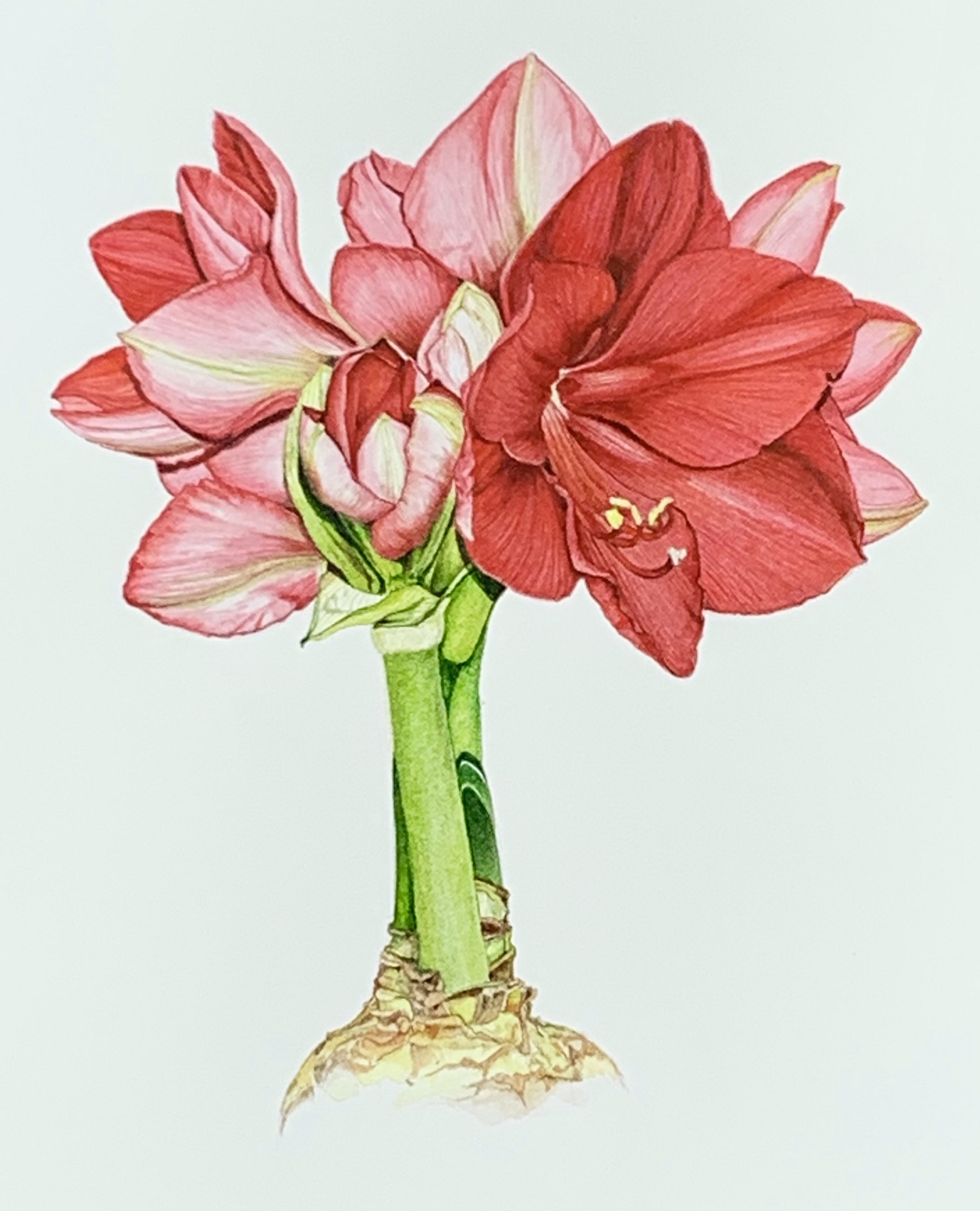 Ellen Crimmins - art sample 1