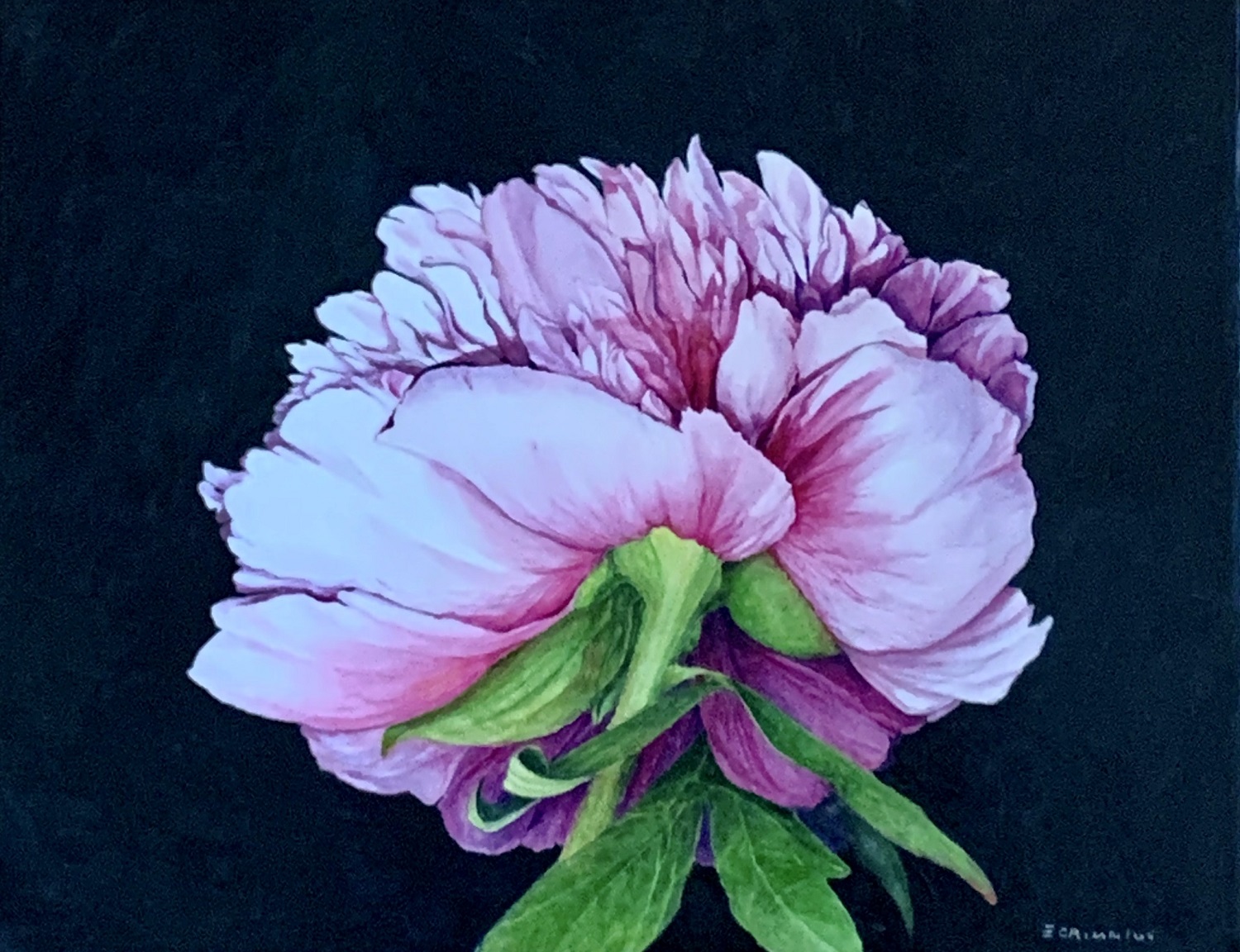 Ellen Crimmins - art sample 2