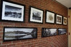 Rhinebeck Bank - Rhinebeck branch - Matt Roger art exhibit